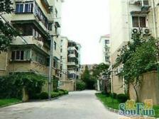 金三银四,好楼层,DT口
