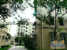 凤城五村2室南朝向280.00万元/套出售