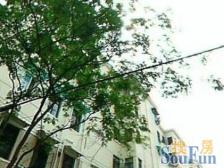 带阁楼好房,阁楼两房,出入方便,带固定租赁车位