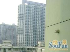 斜土路大木桥·福华花苑·2室·1厅