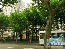 开放式厨房,大开间,近地铁,品质小区