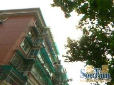 环城公寓2室东朝向530.00万元/套出售