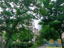 新上五楼,一梯两户,精装修,能改两室,满五年,利用率大