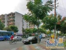 凉城·三湘花苑·3室·2厅