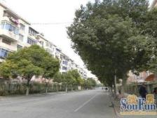 近地铁,现场实勘 无抵押,刚需上车 必看好房