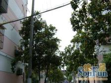 此房户型好房东诚意出售配套齐全