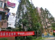 北新泾D铁口!精装修!空关!南北通透