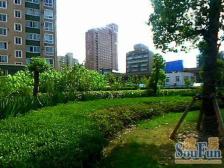 顶楼复式+南北双阳台+ 动静分离飞机户型+松阁楼阳光房