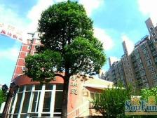 顶楼复式+南北双阳台+动静分离飞机户型+带阁楼阳光房