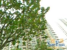 92年房龄+有钥匙+深得业主信任+空关卖房+2/7/14号线