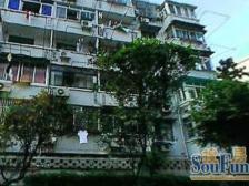 延吉中路站旁 电梯房 双南户型 精装全配 自住装修