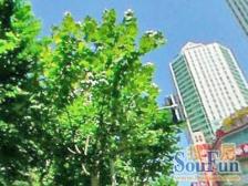 近地铁,现场实勘,电梯房,产权清晰 必看好房