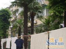 双南两房,目前空关,业主诚售,看房提前约