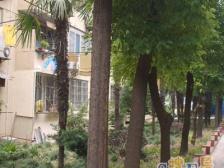 宛南五村2室南朝向490.00万元/套出售