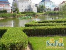 乔爱别墅 7室2厅 南