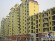 9号线 泗泾站润和苑 大三房 带大花园 看房随时