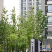 康健·海上名门公寓·3室·2厅