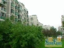 金桥·东陆锦悦苑·2室·2厅