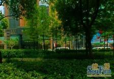 品质小区,环境优美,精装修,诚意出售