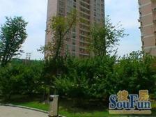 03年徐汇内环内,无遮挡,看操场,地铁4/12号大桥