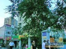 近地铁,无抵押,电梯房 产权清晰,店长力推