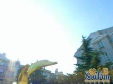 景博花园 4室2厅 南