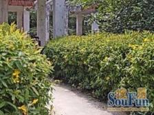 $美丽家园 精装修$ 业主诚意出售 五角场开车3 MIN