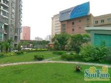 电梯房,大开间,品质小区,环境优美,居家装修,诚意出售,装修齐全