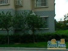 近董家渡金融城,全南2房,满五年一套房子,停车方便