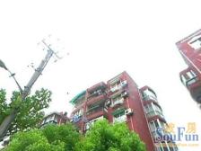 龙腾公寓2室东朝向450.00万元/套出售