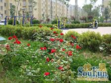 电梯复试房带两个楼台 户型正气 有两个租赁车位