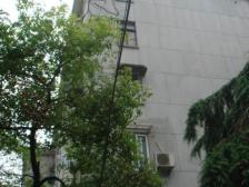 低楼层 带小院 模范小区 环境好 生活方便 近徐家汇