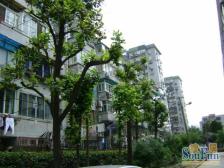 田林十二村双南双院子,看房随时,业主诚意卖,有钥匙