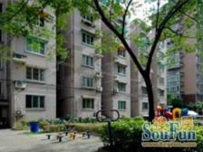 曹杨新苑3室2厅南北