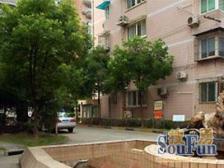 曹杨新苑 3室2厅 南 北