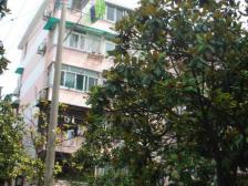 田林·田林十二村·2室·1厅