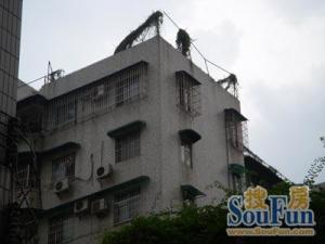 聚侨苑 公交地铁十分方便 采光非常好
