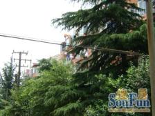 一梯三户,两房朝南,精装好房,小区入口附近