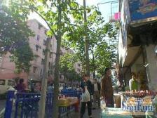 铁路新村(杨浦) 1室1厅 南