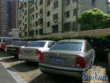 金杨·仙都绿苑·1室·1厅