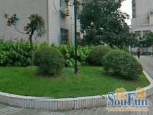 全新装修,满五年W一,看房方便,急