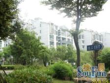 精装修ZY空调加地暖室内电梯南北通透采光视野好