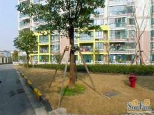 电梯房 精装,产权清晰,新上房源