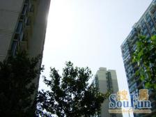 古北恒盛苑3室南朝向1180.00万元/套出售