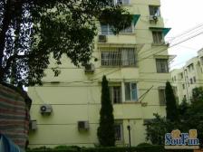 都市桃源一楼带62平花园!三代同堂+宠物乐园一步到位