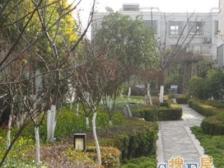 品质小区,DT口商品房,顶楼复式,环境优美,车位充足。