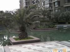 此房满五年,视野明亮,一梯两户,看中价格可聊