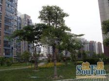 嘉德坊 2室2厅 南