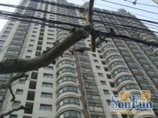 电梯高区无遮挡,满五年视野好,四轨交汇,出行方便