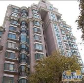 杨东·凤凰家园·3室精装修不靠路,海桐香梅未用0.9佣采光好